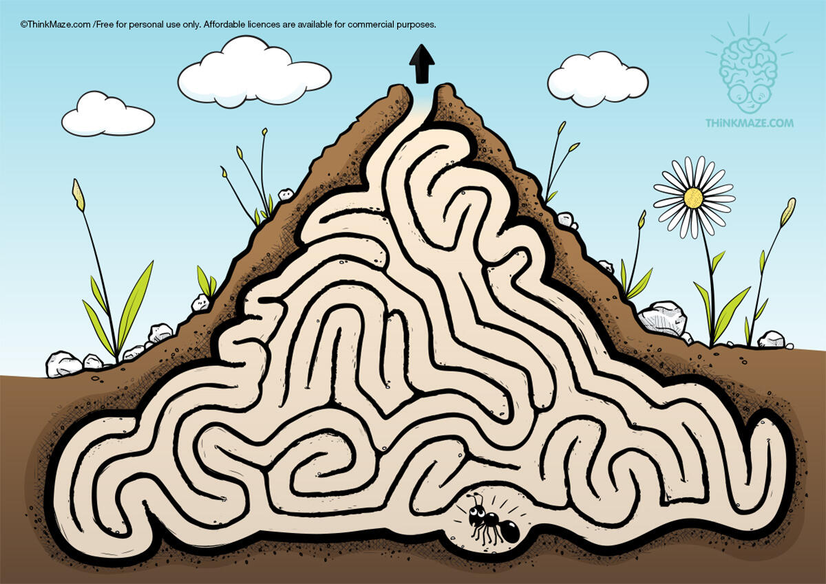 Ant maze free ant maze in color