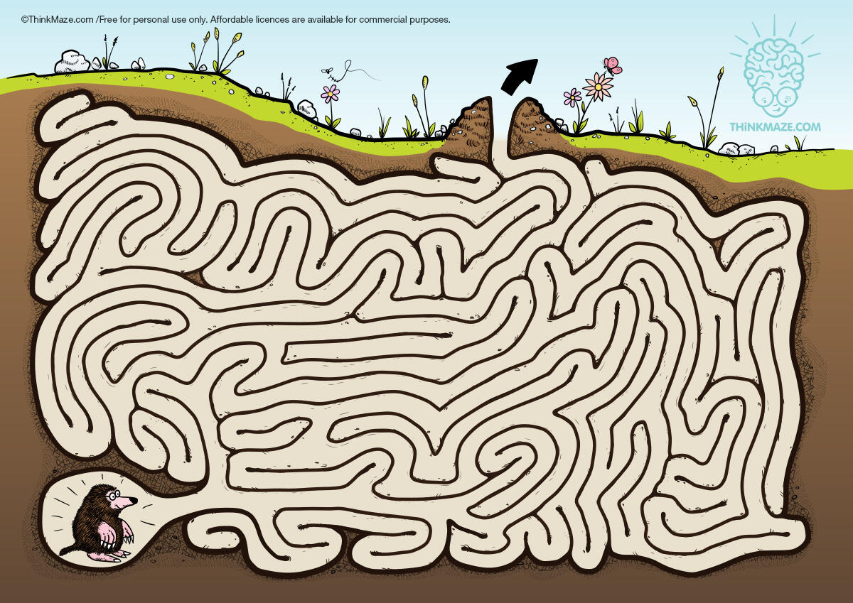 Mole maze free mole maze in color