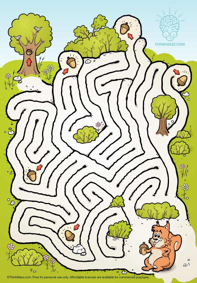 squirrel maze squirrel free maze in color